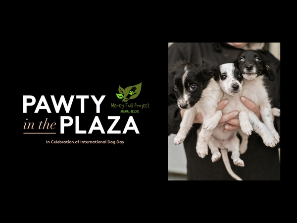 Pawty in the Plaza